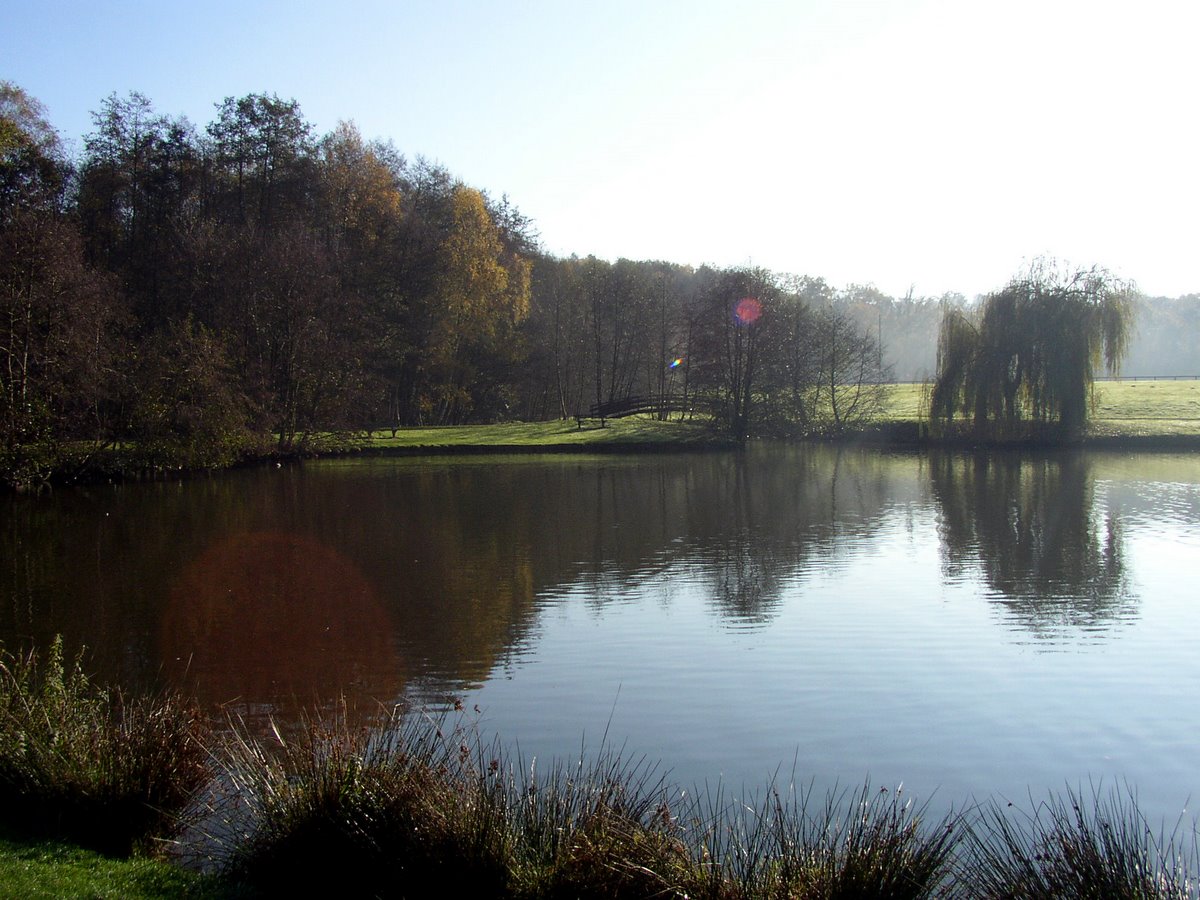 2011 11 Macrofaune benthique St Léger 16